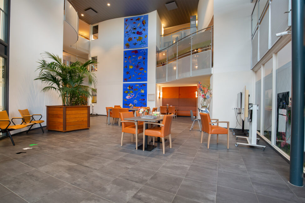 Moderne, lichte lobby met oranje stoelen, tafels en een grote plant. Blauwe kunst aan de muur en glazen balustrades.
