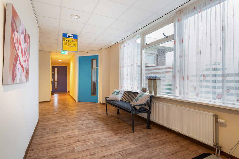 Een lichte gang met houten vloer, een blauwe deur, een bankje met kussens en een schilderij aan de muur. Grote ramen rechts.