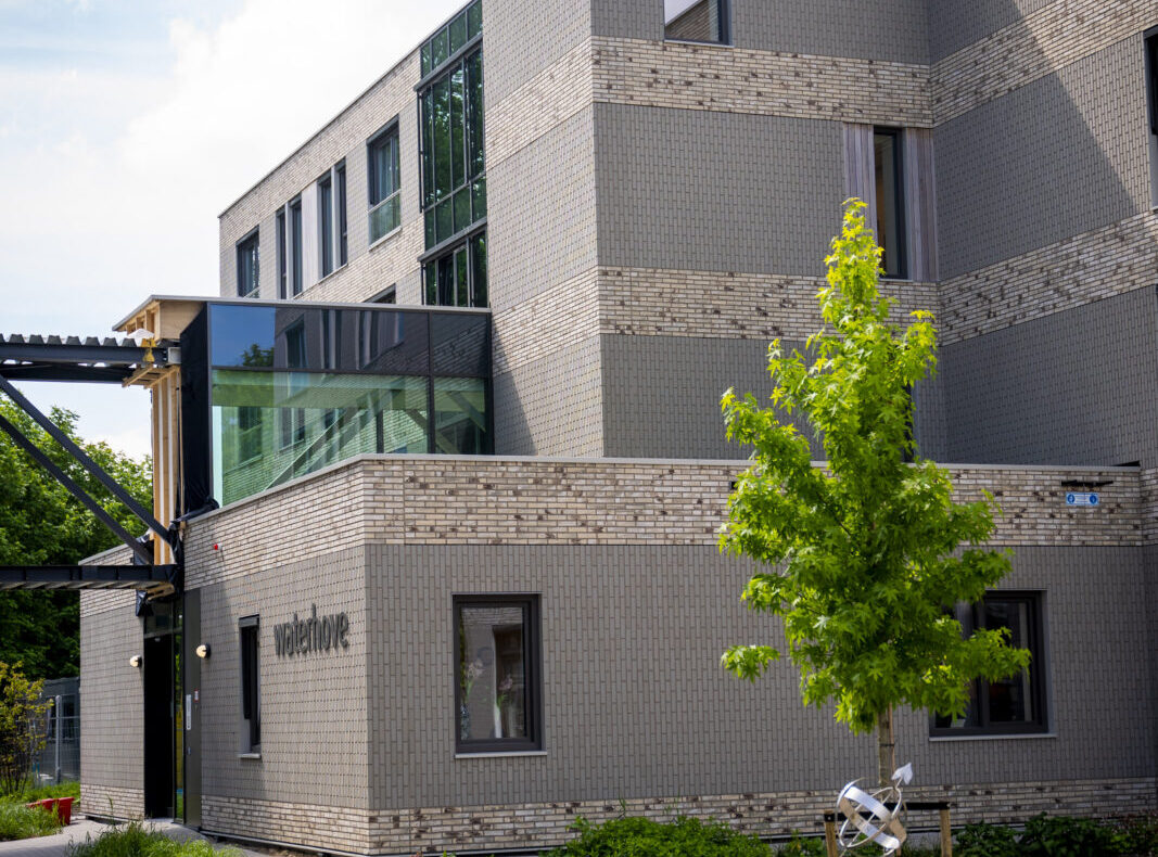 Buitenaanzicht van een modern gebouw met grijze gevels en ramen. Voor het gebouw staat een jonge boom op een zonnige dag.
