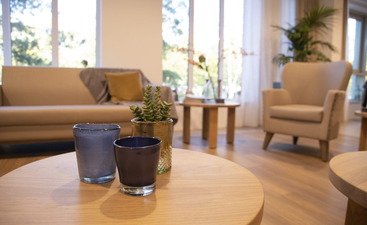 Een gezellige woonkamer met een beige bank, een comfortabele stoel, houten tafels en planten. Grote ramen laten veel licht binnen.