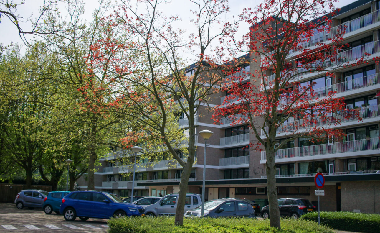 Appartementencomplex met balkons, omgeven door bomen met rode bladeren. Auto's geparkeerd op de voorgrond langs de straat.