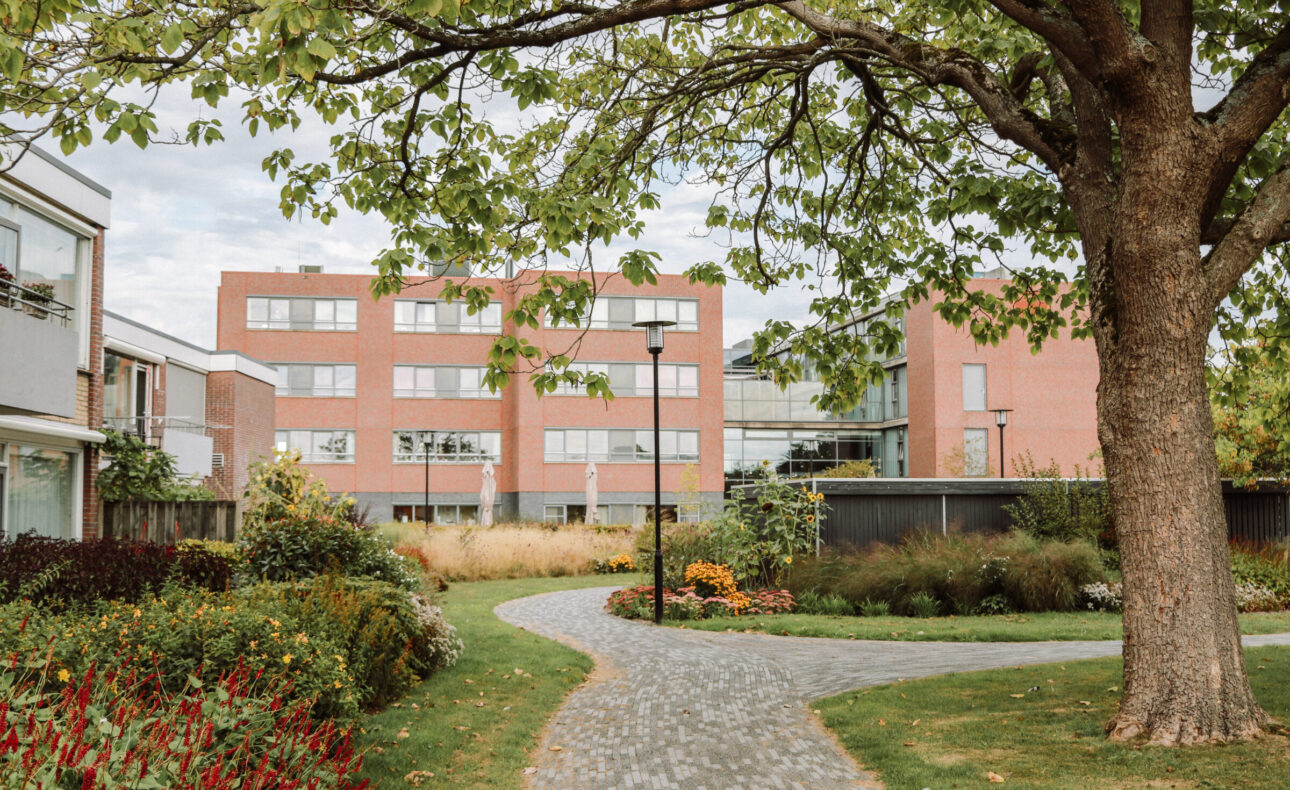Foto van de binnentuin van Wilde Veenen met daarachter het woonzorgcentrum van Beth-San. Vooraan op de foto is een grote groene boom te zien. Onder de boom loopt een kronkelend wandelpad met daarnaast groen en bloemenperken.