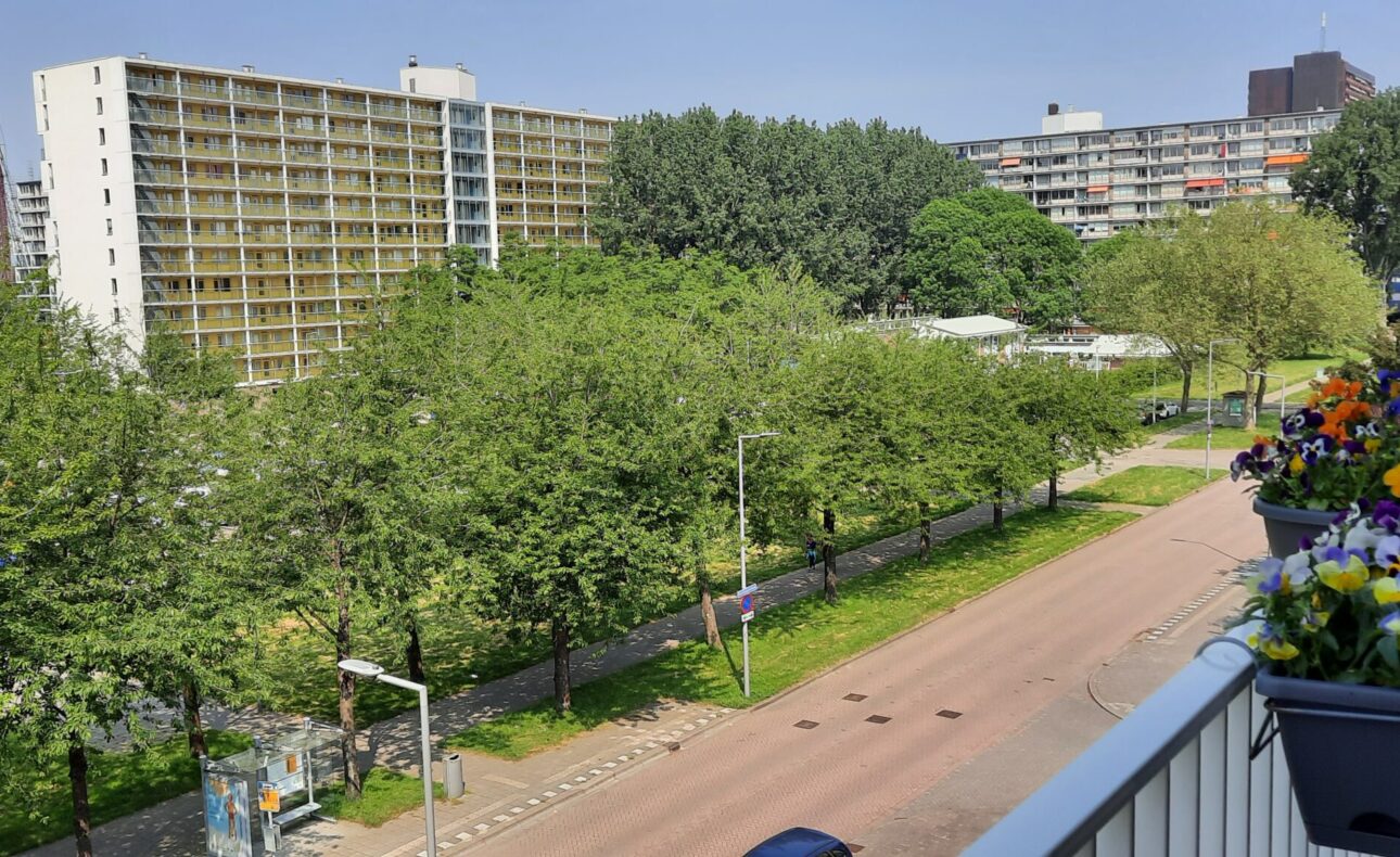 Uitzicht vanaf een balkon met kleurrijke bloemen op de voorgrond, uitkijkend over een groene straat en hoge flatgebouwen.