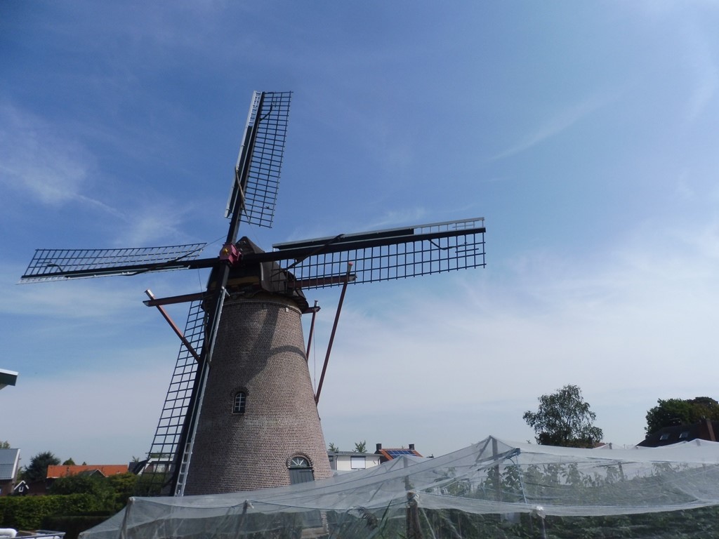 Een traditionele Nederlandse windmolen met blauwe lucht en enkele wolken op de achtergrond, omringd door groene bomen.
