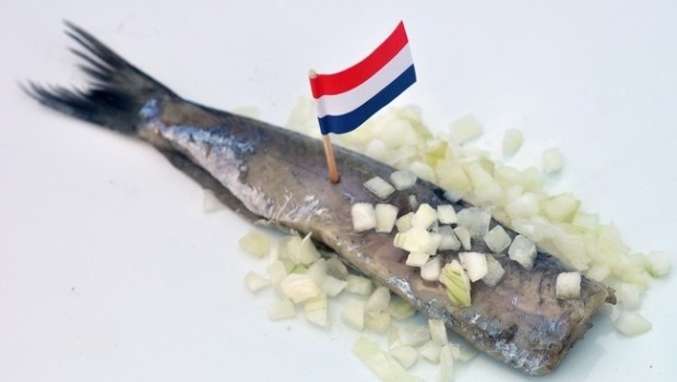 Een haring ligt op een bedje van gesneden uien, met een Nederlandse vlag erin gestoken, op een witte achtergrond.