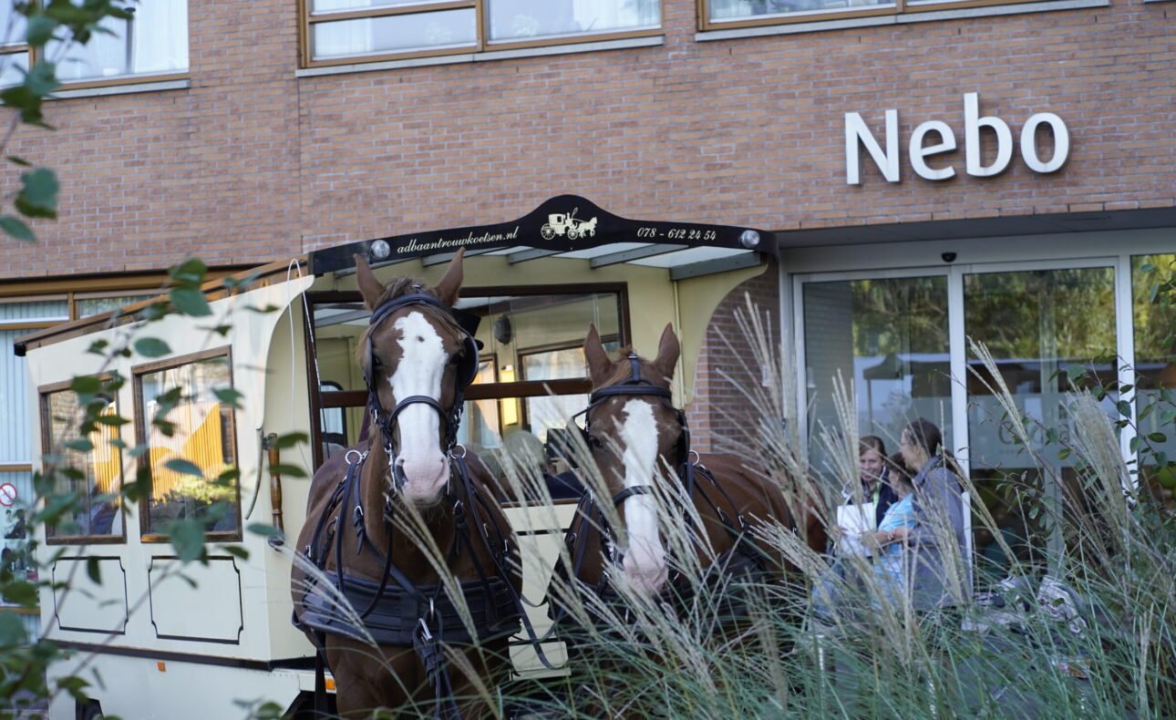 Twee bruine paarden staan voor een koets bij een gebouw met de naam "Nebo". Twee mensen zijn zichtbaar naast de koets.
