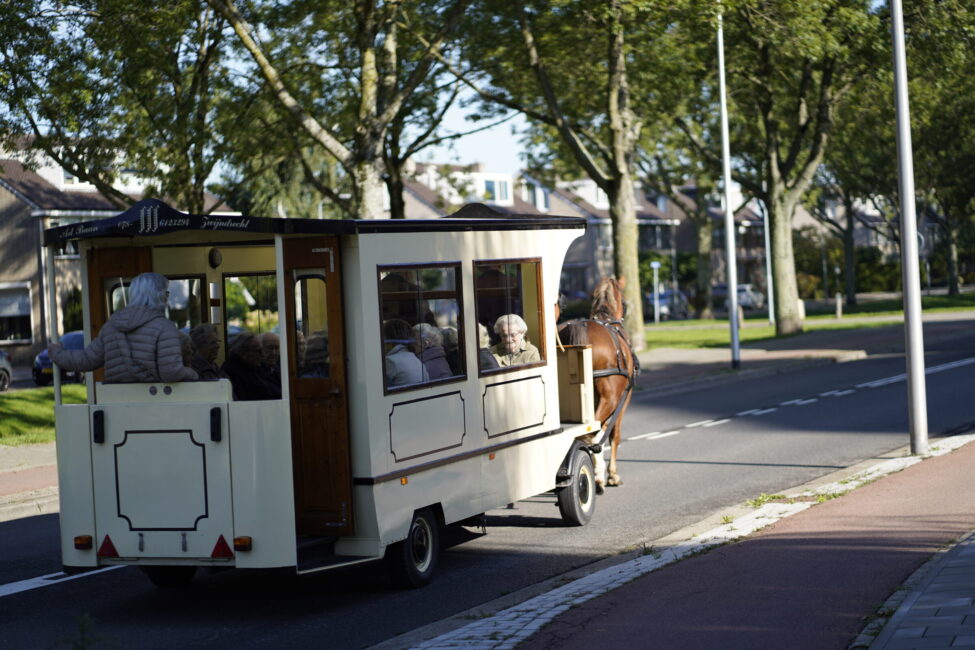 Een paard trekt een witte huifkar met mensen door een groene woonwijk op een zonnige dag, langs een rustige straat.