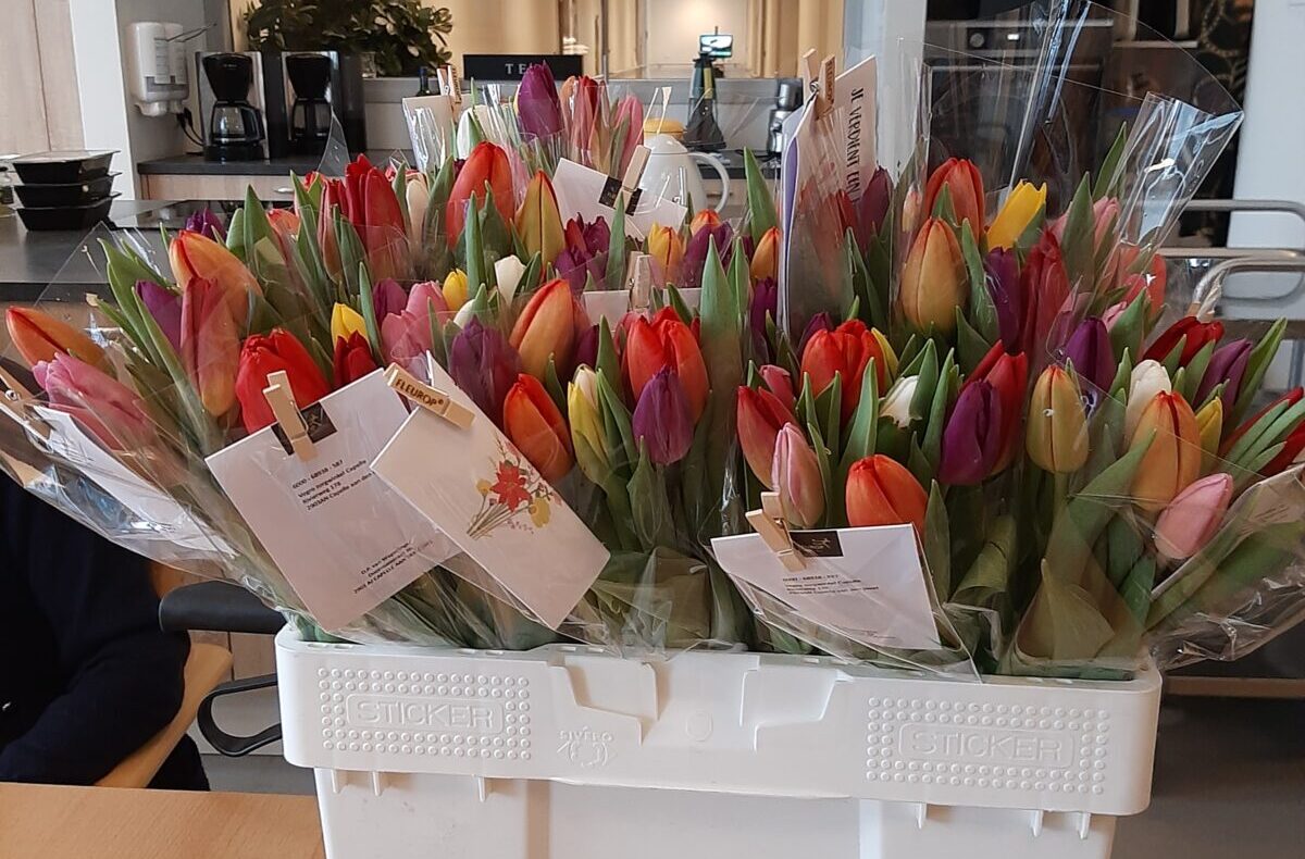 Een witte doos gevuld met kleurrijke tulpenboeketten staat op een houten tafel in een lichte kamer met een klok aan de muur.