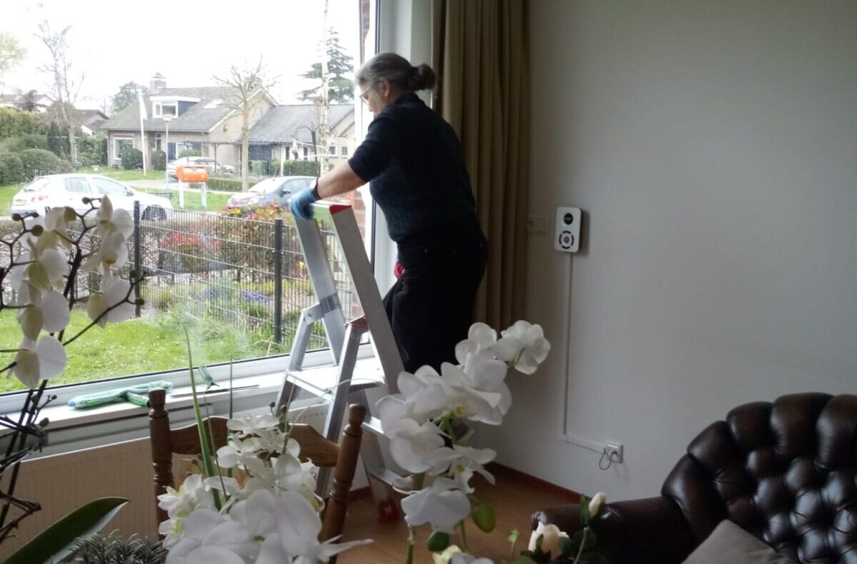 Een persoon staat op een ladder en poetst een groot raam in een woonkamer met bloemen en een leren bank op de voorgrond.