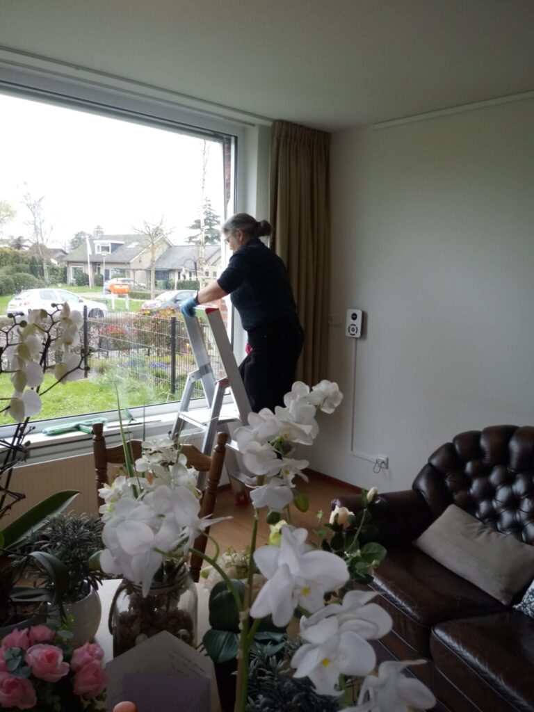 Een persoon staat op een ladder en poetst een groot raam in een woonkamer met bloemen en een leren bank op de voorgrond.