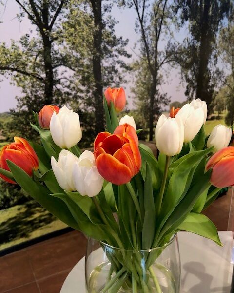 Een glazen vaas met kleurrijke tulpen in rood, wit en oranje, geplaatst op een tafel met een groene achtergrond van bomen.