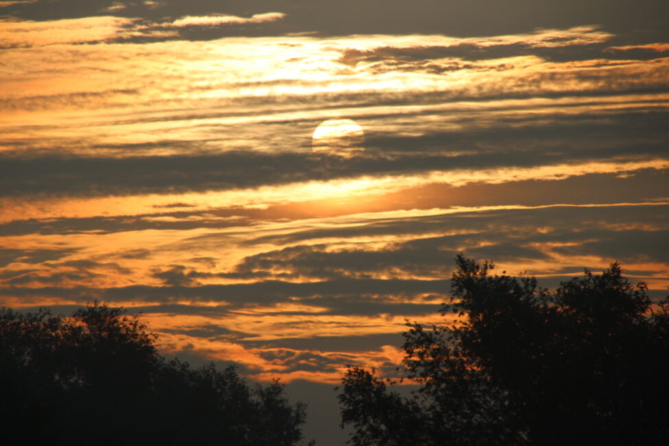 Zonsondergang met oranje en gele tinten, wolkenluchten en silhouetten van bomen op de voorgrond. Rustige, serene sfeer.