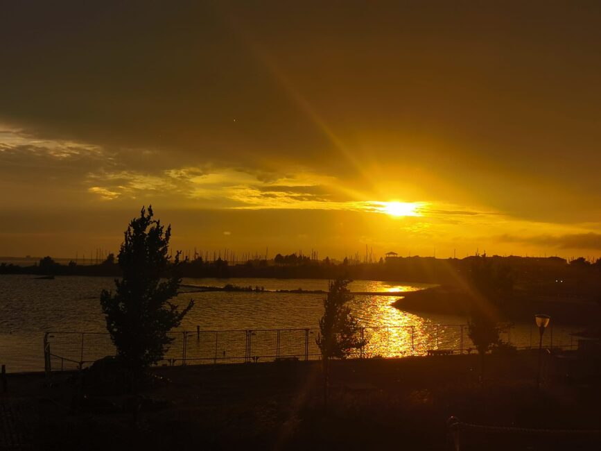 Zonsondergang boven een meer met silhouetten van bomen en een rustige wateroppervlakte, onder een goudkleurige hemel.