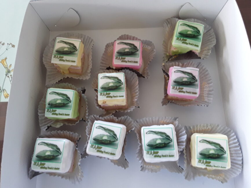 Een doos met negen petit fours in verschillende kleuren, elk bedrukt met een afbeelding van een groene telefoonhoorn.