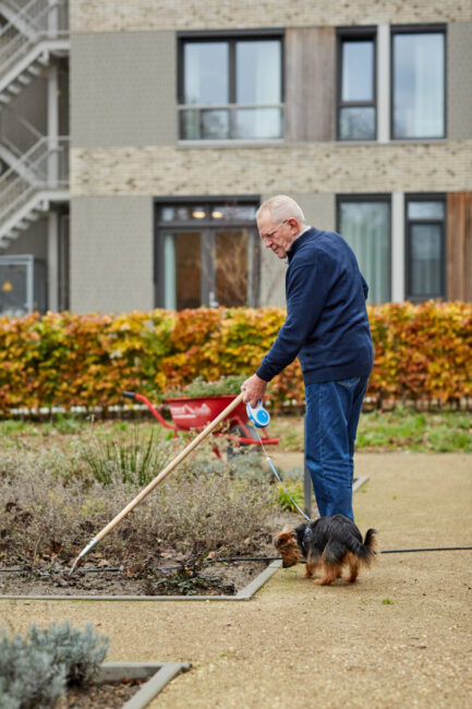 Een oudere man werkt in de tuin met een hark, terwijl een kleine hond naast hem loopt. Op de achtergrond zijn gebouwen zichtbaar.