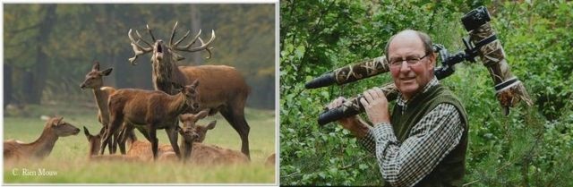 Twee afbeeldingen: links een groep herten in een bos, rechts een man met een camera en statief op zijn schouder.