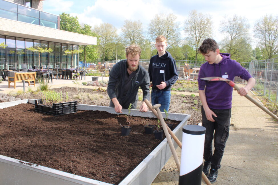 Drie mensen werken samen in een tuin. Ze bewerken de aarde in een verhoogde bak met gereedschap op een zonnige dag.