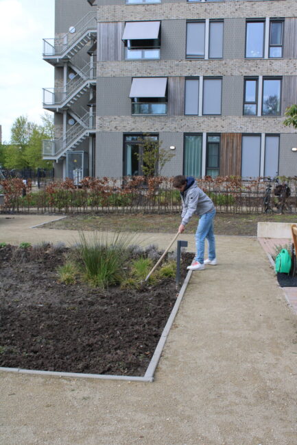 Persoon werkt in een tuin met een hark voor een modern gebouw. De tuin heeft een pad en enkele groene planten.