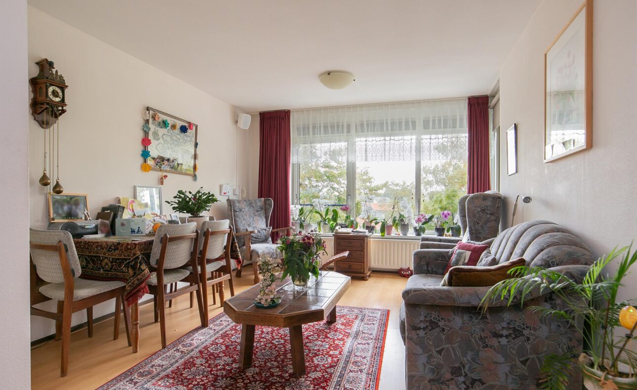 Woonkamer met houten vloer, kleurrijk tapijt, comfortabele bank, eettafel met stoelen en veel planten bij het raam.