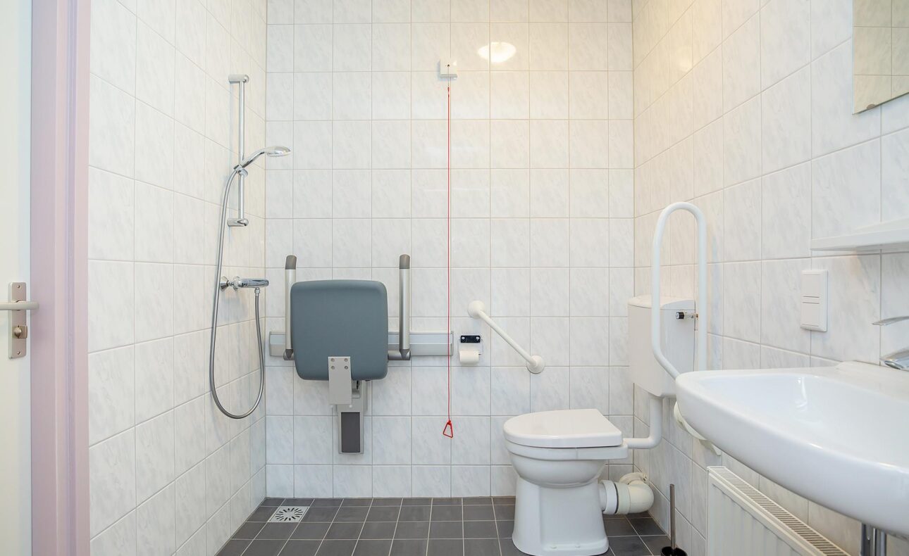 Een aangepaste badkamer met een douche, toilet met beugels, en een wastafel. De ruimte is betegeld in wit en grijs.