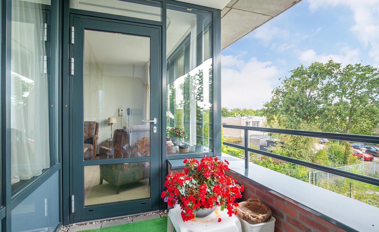 Balkon met glazen deur naar woonkamer, rode bloemen op tafel, groene vloerbedekking en uitzicht op bomen en blauwe lucht.