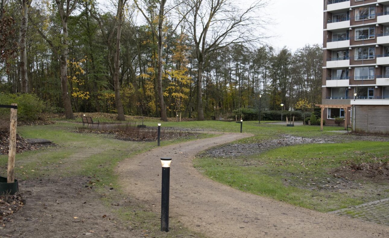 Een kronkelend pad leidt door een groen park met bomen en gras, naast een hoog gebouw. Lantaarns verlichten het pad.