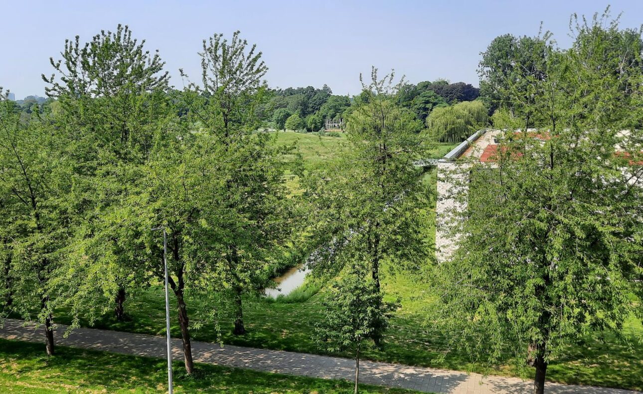 Landschap met een rij bomen langs een pad, met een grasveld en een gebouw op de achtergrond onder een heldere lucht.