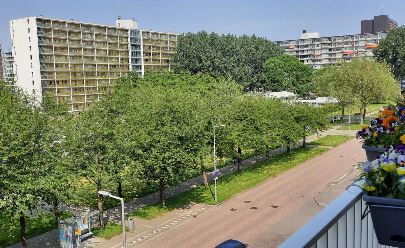 Uitzicht vanaf een balkon met kleurrijke bloemen, uitkijkend op een groene laan en hoge flatgebouwen op een zonnige dag.