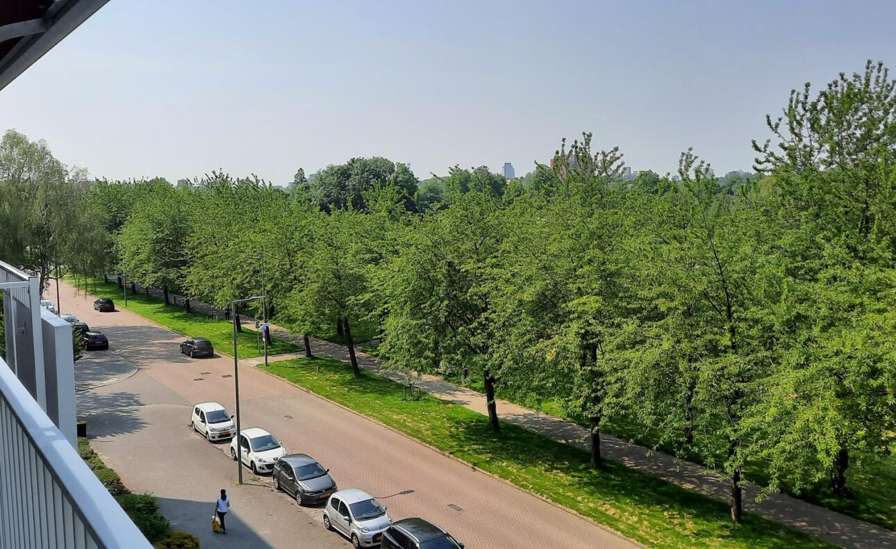 Uitzicht vanaf een balkon op een rustige straat met geparkeerde auto's en een groene bomenrij onder een heldere lucht.