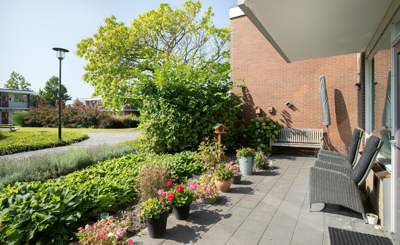 Zonnig terras met zwarte stoelen en bloempotten vol kleurrijke bloemen, omgeven door groene struiken en een bakstenen muur.