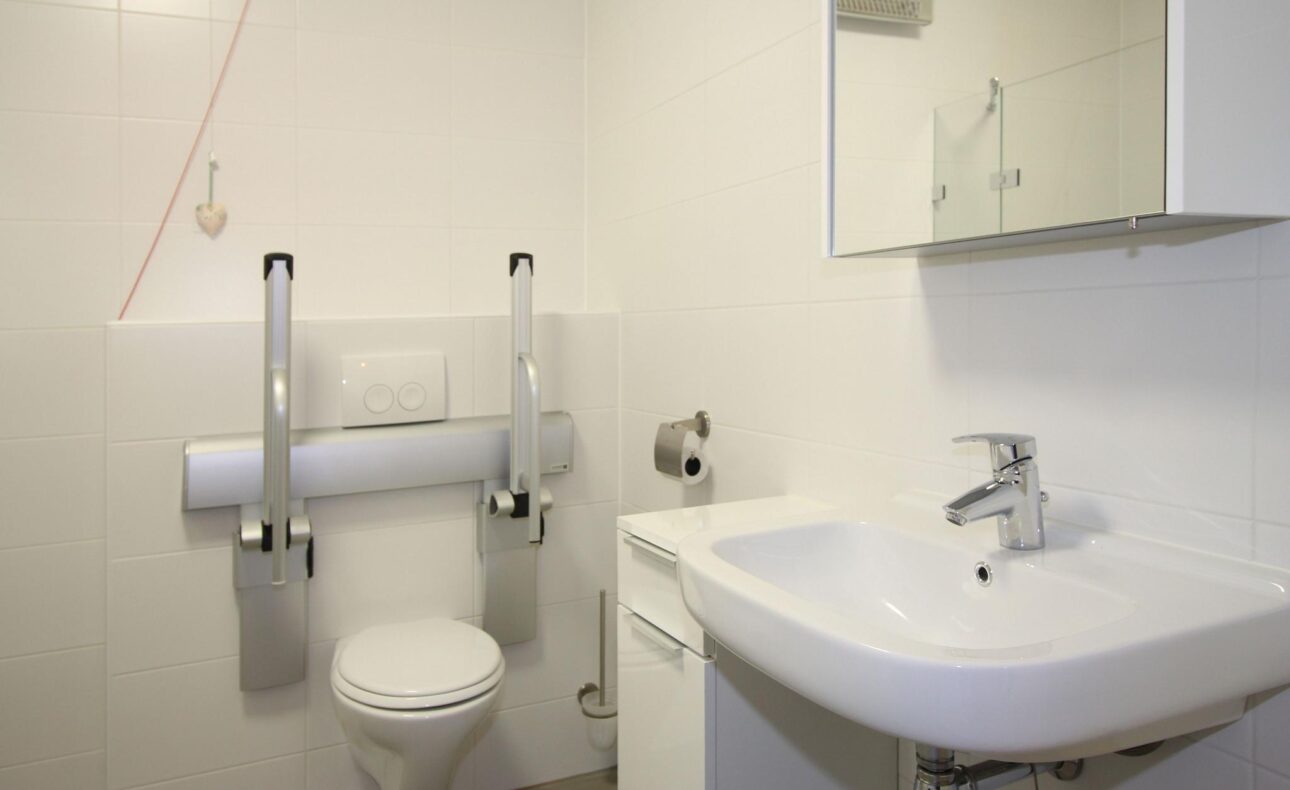 Een rolstoeltoegankelijke badkamer met een toilet met beugels, een wastafel en een spiegel aan de witte betegelde muur.