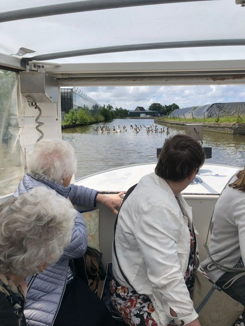 Groep ouderen geniet van een boottocht op een zonnige dag, kijkend naar vogels op het water. Ze zitten in een overdekte boot.