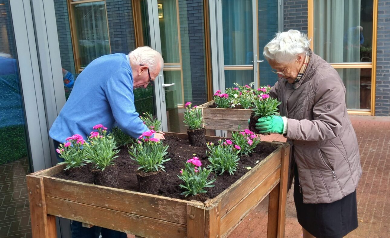 Twee oudere mensen planten bloemen in een verhoogde tuinbak buiten een gebouw. Ze dragen handschoenen en zijn geconcentreerd bezig.