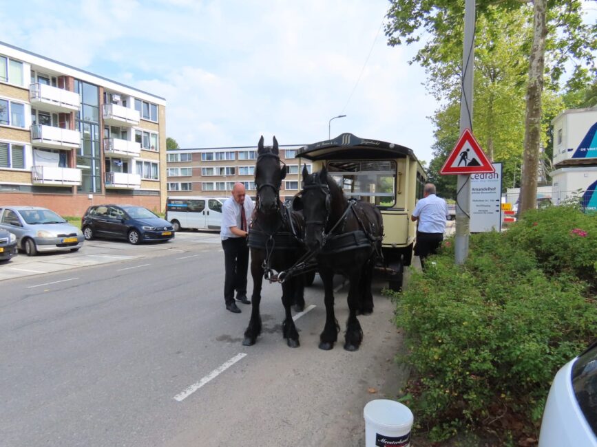 Twee zwarte paarden trekken een koets op een straat naast een woongebouw. Twee mensen begeleiden de paarden.