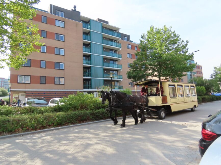 Paard en wagen rijden langs een modern appartementencomplex op een zonnige dag, omringd door groen en geparkeerde auto's.