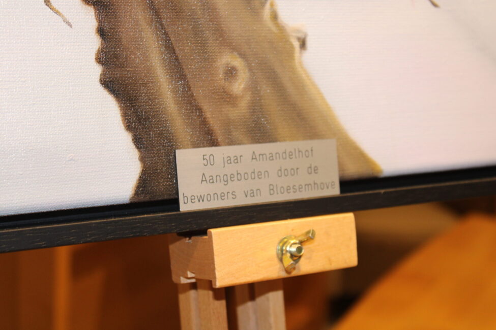 Close-up van een schilderij met een metalen plaatje waarop staat: "50 jaar Aanspraak! Aangeboden door de bewoners van Bloemkamp".
