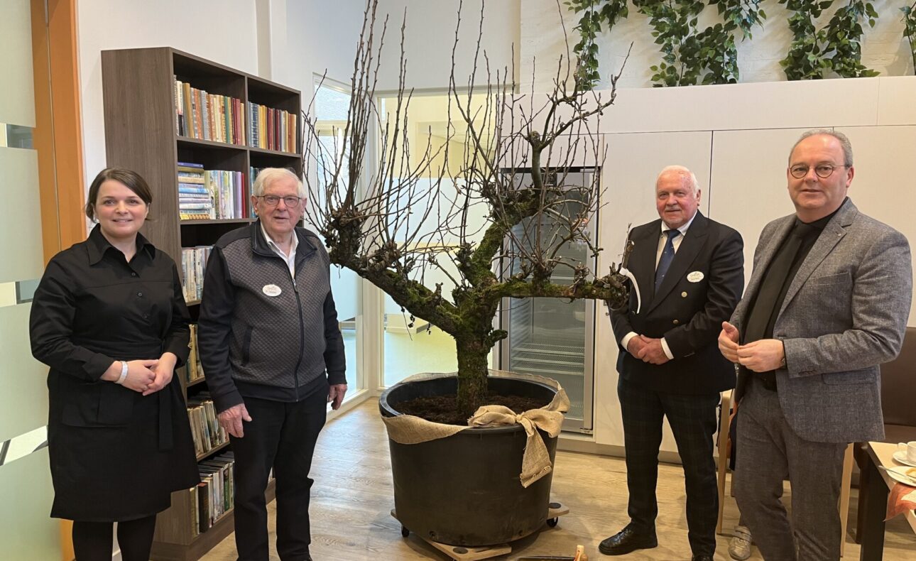 Een vrouw en drie mannen staan rondom een boompje in een grote pot.