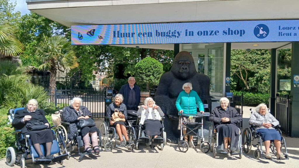 Oudere mensen in rolstoelen poseren voor een beeld van een grote gorilla.