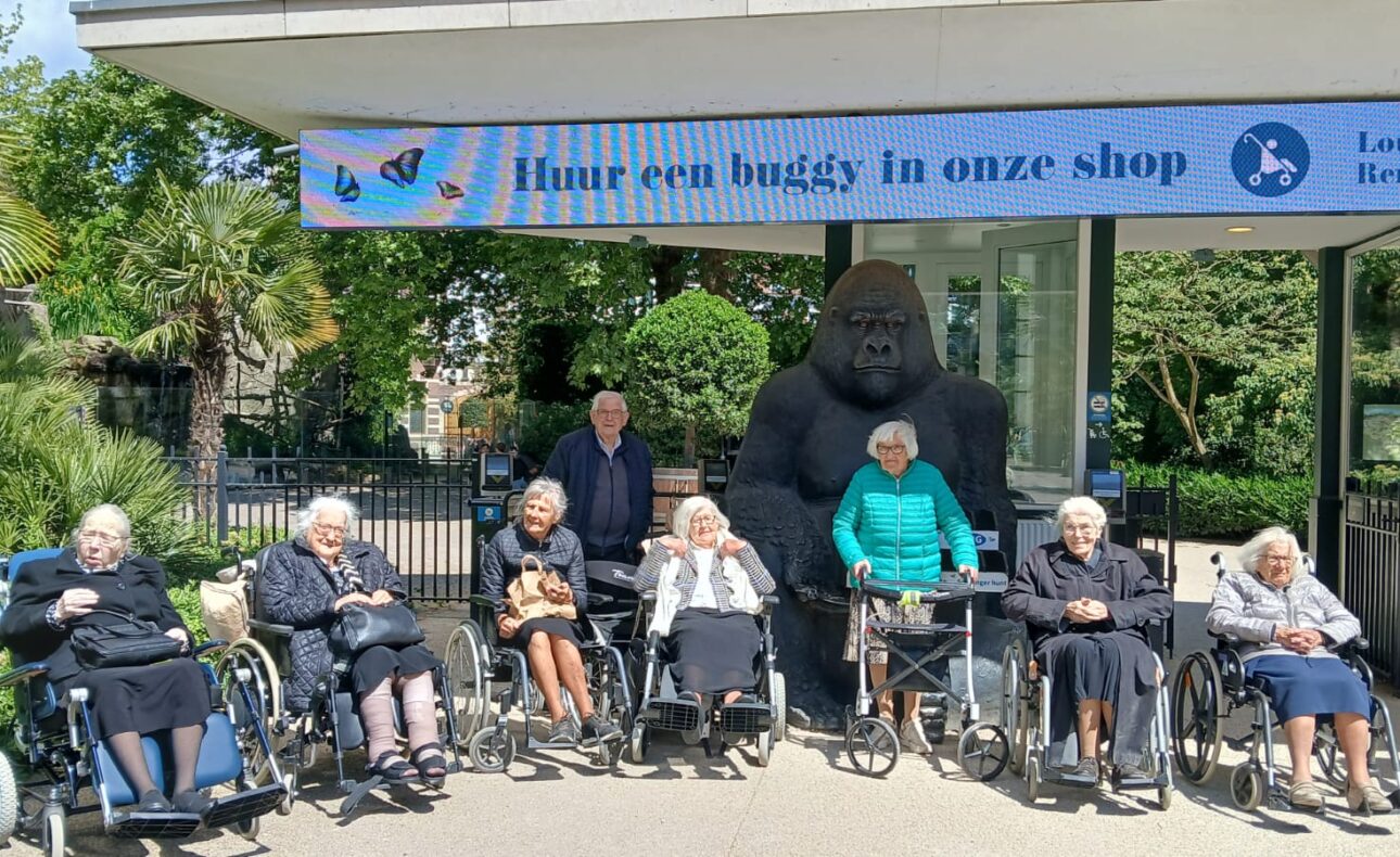 Oudere mensen in rolstoelen poseren voor een beeld van een grote gorilla.