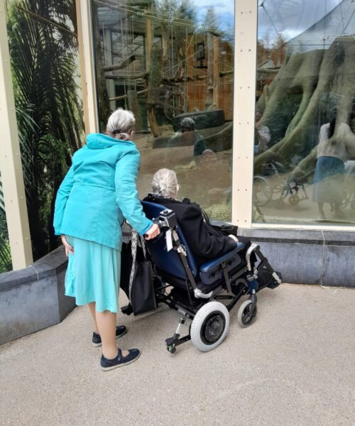 Een oudere vrouw in een rolstoel en de vrouw die haar duwt kijken samen in een dierenverblijf.
