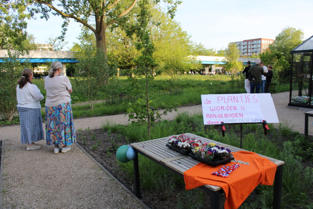 Een tafel met plantjes.